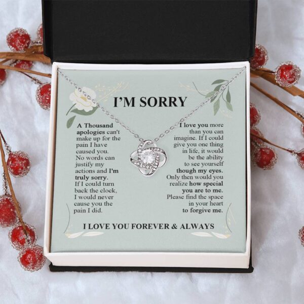 I'm Sorry A Thousand Apologies - Love Knot Necklace - Apology Gifts for Her